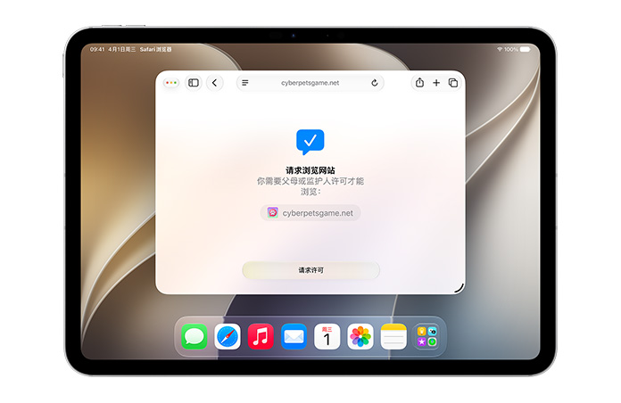iPad 显示请求浏览界面，请求许可按钮位于界面下部，提示用户需要获得许可才能浏览。