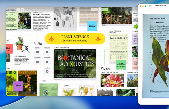 Mac 上的植物科学无边记看板，其中音频、视频和研究报告井井有条，旁边还有一个 PDF 预览窗口，展示轻松提升效率。