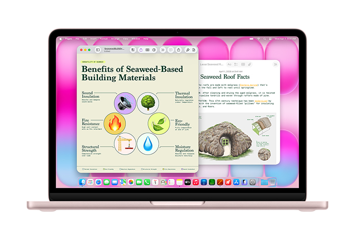 一台 MacBook Neo 上同时打开了 Pages 文稿和备忘录 app，展示有关海藻屋顶的演示文稿，彰显其出色的性能表现。