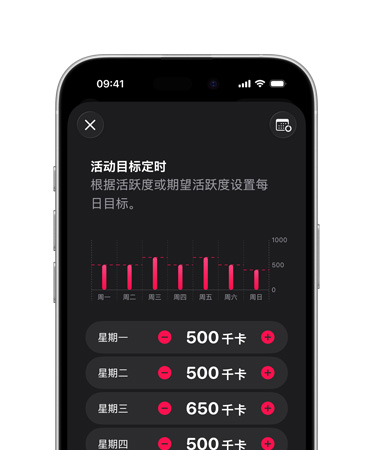 iPhone 17 上显示每天的活动目标定时详细信息。