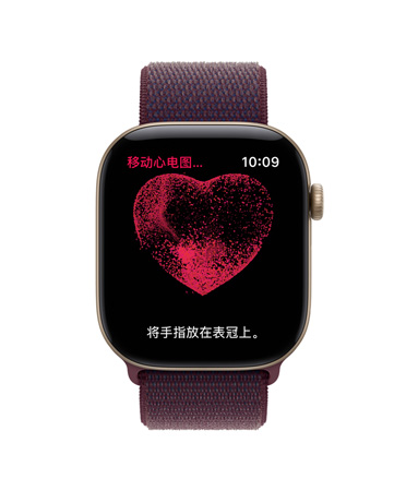 Apple Watch Series 12，展示浅金色铝金属表壳搭配勃艮第酒红色回环式运动表带，屏幕显示移动心电图房颤提示软件，以及将手指放在数码表冠上开始读取心电图的说明文字，屏幕中间是红色心形图案。