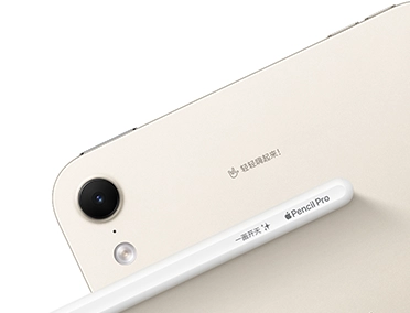 iPad 的背面视图，浅金色，展示后置摄像头，iPad 背面和旁边的 Apple Pencil Pro 上均带有镌刻内容。