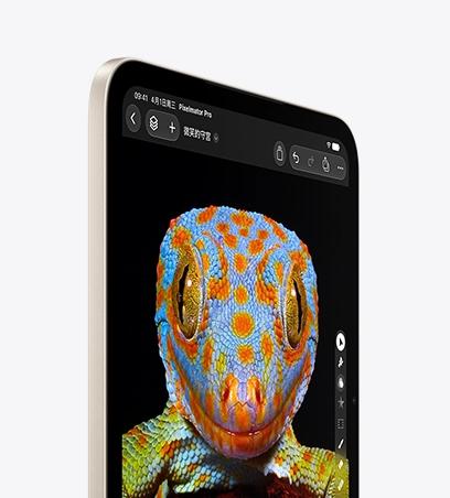 星光色 iPad mini 的正面视图，屏幕显示一只壁虎的特写图，展示设备像素级的调光控制、丰富精准的色彩表现，以及更宽广的动态范围。