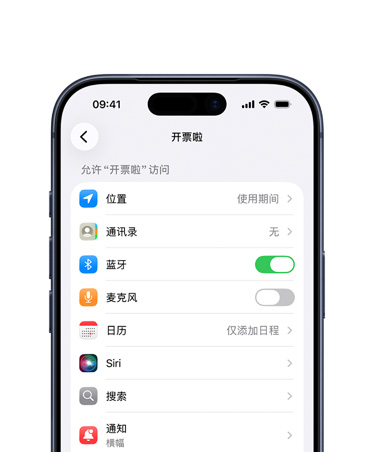 iPhone 屏幕展示“设置”中某款 app 的界面。
