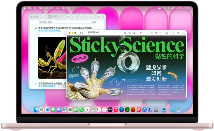 桃粉色 MacBook Neo，屏幕显示一篇关于仿生学的文章以及相关主题内容的小测验。
