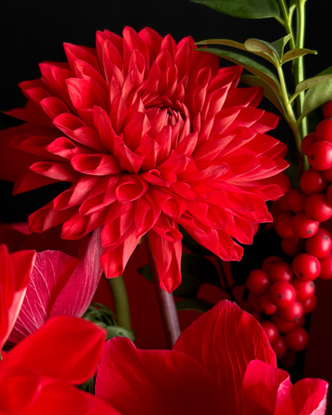 盛开的花朵、街边的糖葫芦以及灯笼映照下的小朋友构成三种不同的新春场景。色彩鲜艳的节日元素在光影中呈现。图一由李文超用 iPhone 17 拍摄；图二由张敬宜用 iPhone 17 Pro Max 拍摄；图三由李硕用 iPhone 17 Pro Max 拍摄。