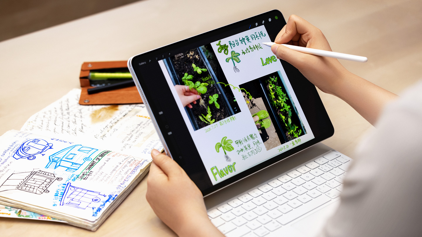 郑辰雨用配备 M1 芯片的 iPad Pro 和第二代 Apple Pencil 绘制并记录了种植罗勒的喜悦。