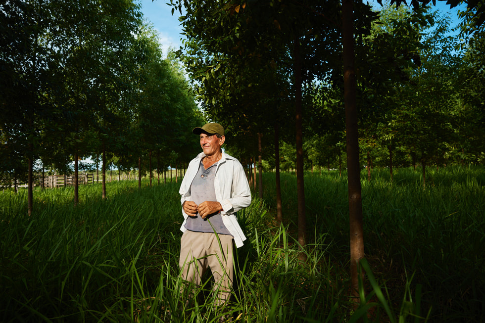 Serafino Gonzalez 站在一排树木中间的长草里。