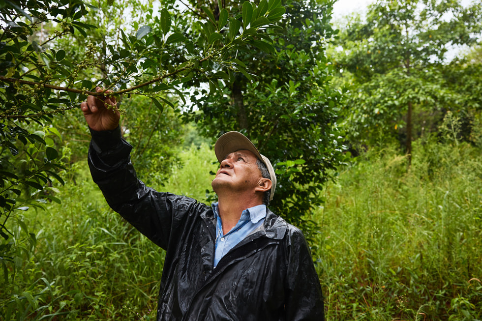 Alberto Florentín 站在茂密的植物前，伸手触碰树枝。