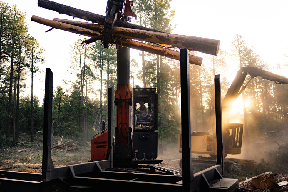 亚利桑那州科罗拉多河流域的森林中，一台起重机正在举起大型木材。