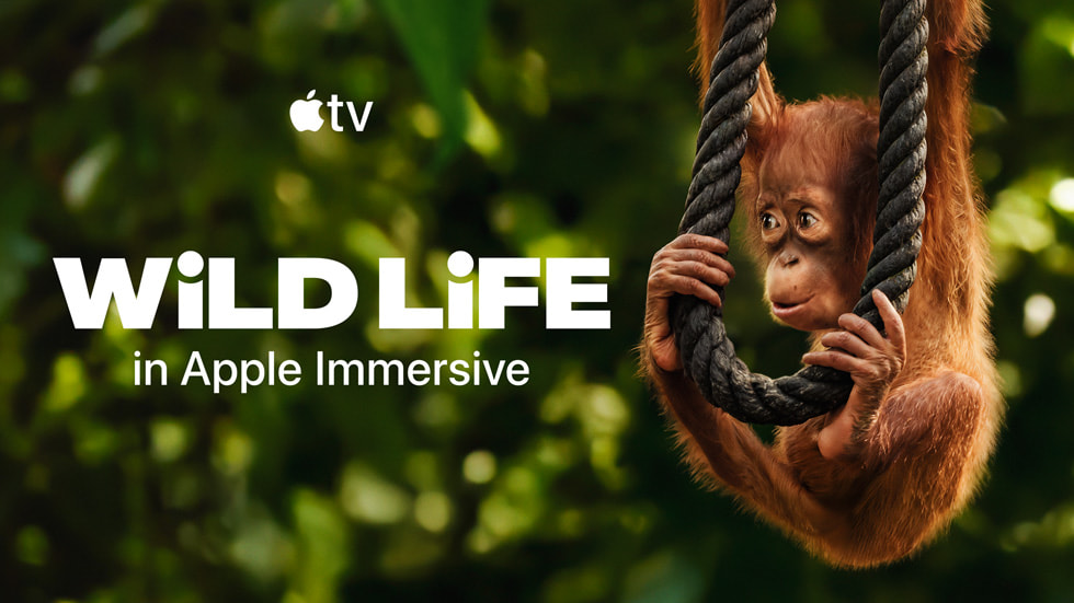 Apple Immersive 系列视频《Wild Life》中的照片。