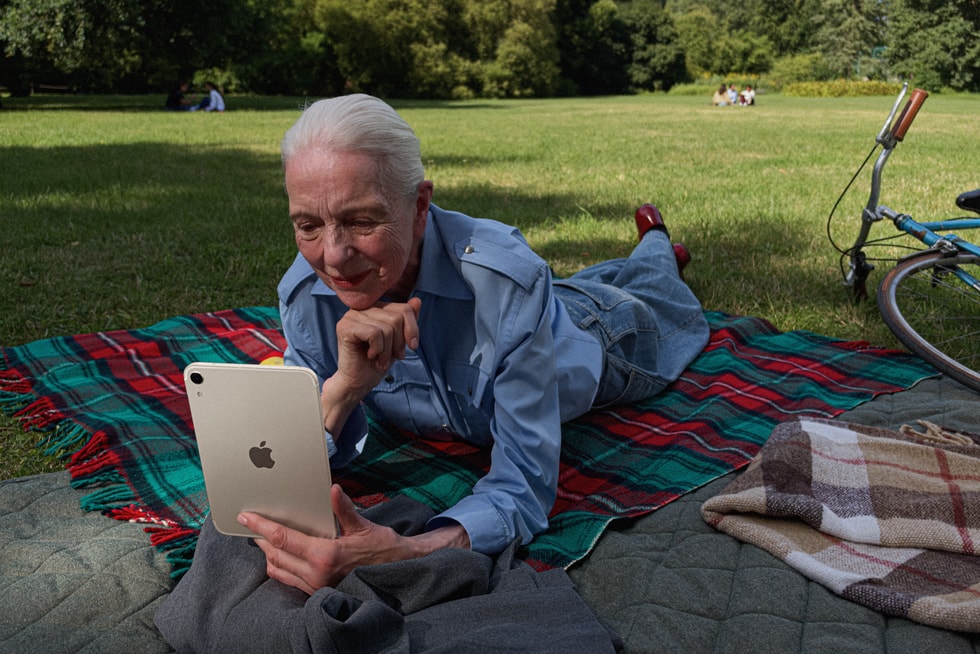 公园里，一个人躺在毯子上看 iPad mini。