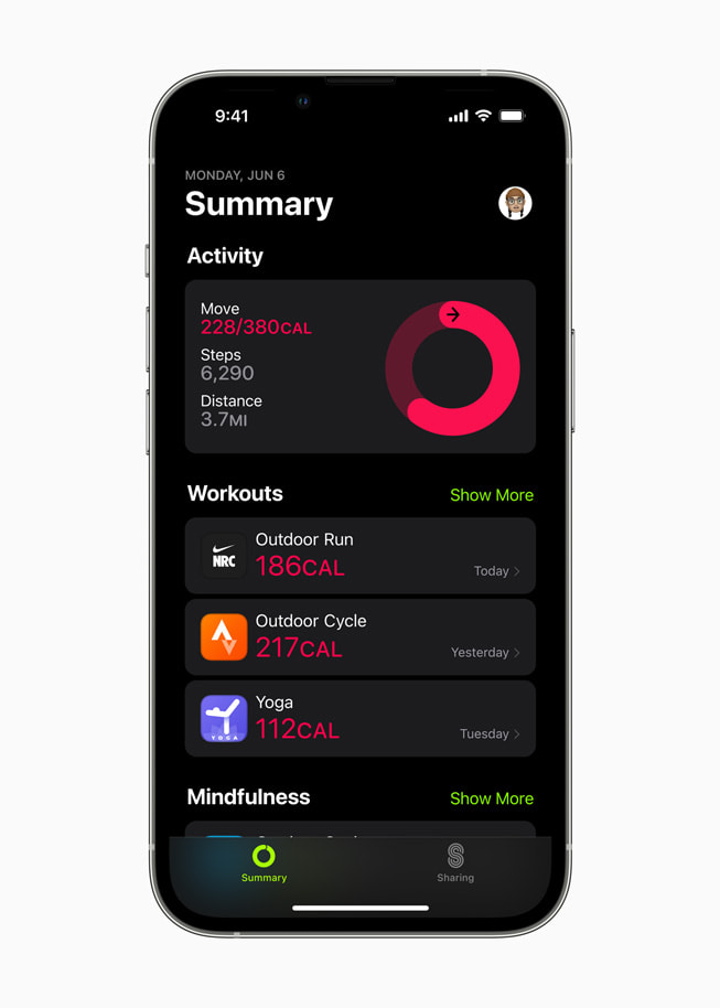健身 app 中的用户活动总结。