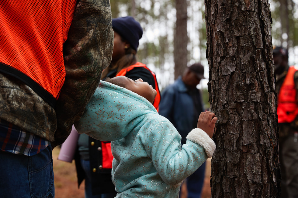 森林中，一个孩子抬头看着大树。
