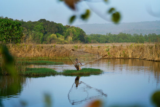 印度 Maharashtra，三人经岸边红树林成荫的河流而下。