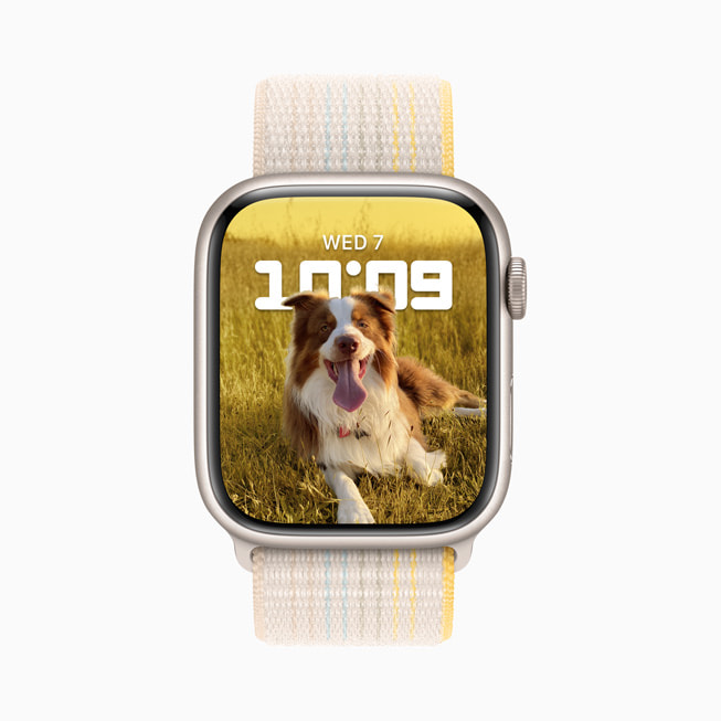 Apple Watch Series 8 显示带有小狗照片的“人像”表盘.