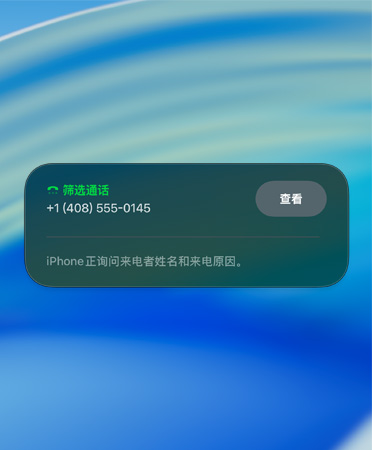 通话筛选功能显示筛选新来电的通知。
