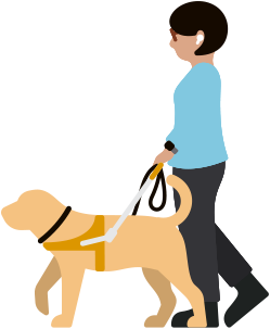 一位佩戴 AirPods 的视障女士牵着服务犬走路