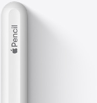 图片展示 Apple Pencil 第二代的尾部，具有圆润的末端、Apple 标志和 Pencil 字样。