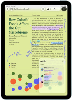 iPad Air 屏幕显示 Pages 文稿 app