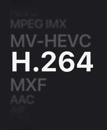 文件格式列表，其中列出了 MPEG IMX、MV-HEVC、H.264、MXF、AAC 等格式。