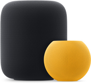 黄色 HomePod mini 在前，位于午夜色 HomePod 左侧。