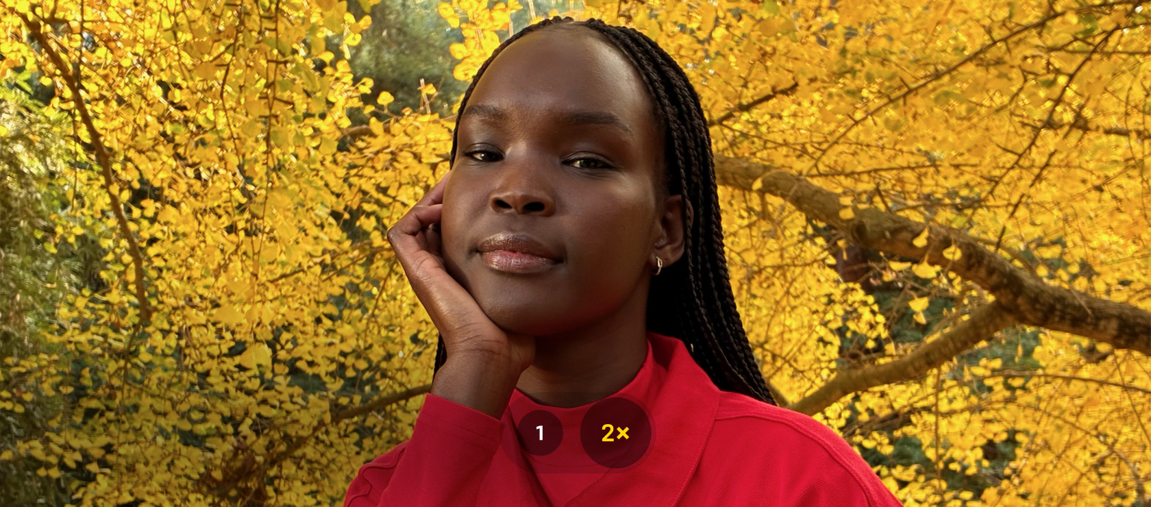 一张以融合式摄像头的 1 倍和 2 倍变焦模式拉近视角拍摄的照片。