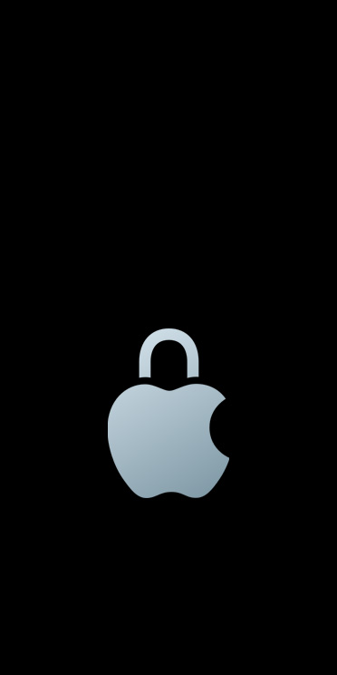 银色 Apple 标志，标志顶部的叶子被换成挂锁环。